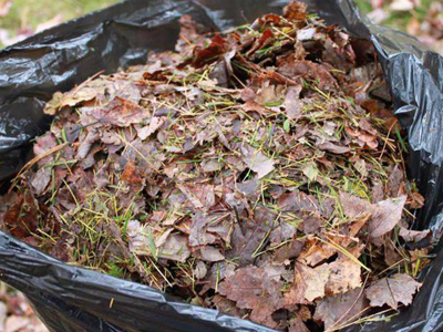 Property Cleanup, Straightening and Sprucing Services Provided by ZNT Property Services for homes and small businesses in the southern Twin Cities metro area including the areas of Apple Valley, Belle Plaine, Burnsville, Carver, Chaska, Credit River, Eden Prairie, Elko New Market, Jordan, Lakeville, Lonsdale, New Prague, Prior Lake, Savage, Shakopee, Webster and all surrounding areas.