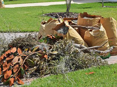Property, lawn, garden and yard debris removal and cleanup services from ZNT Property Services.