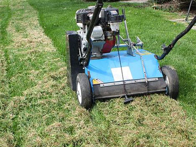 Power raking dethatching services for lawns, yards and entire properties from ZNT Property Services.